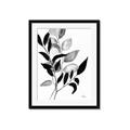 Picture of Black Botanical _GroupedProduct_Rectangle_Portrait_Framed_Matted_