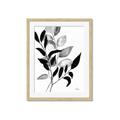 Picture of Black Botanical _GroupedProduct_Rectangle_Portrait_Framed_Matted_