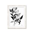 Picture of Black Botanical _GroupedProduct_Rectangle_Portrait_Framed_Matted_