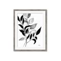 Picture of Black Botanical _GroupedProduct_Rectangle_Portrait_Framed_Matted_