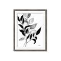 Picture of Black Botanical _GroupedProduct_Rectangle_Portrait_Framed_Matted_