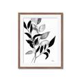 Picture of Black Botanical _GroupedProduct_Rectangle_Portrait_Framed_Matted_