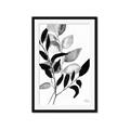 Picture of Black Botanical _GroupedProduct_Rectangle_Portrait_Framed_Matted_