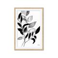 Picture of Black Botanical _GroupedProduct_Rectangle_Portrait_Framed_Matted_