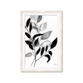 Picture of Black Botanical _GroupedProduct_Rectangle_Portrait_Framed_Matted_