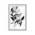 Picture of Black Botanical _GroupedProduct_Rectangle_Portrait_Framed_Matted_
