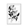 Picture of Black Botanical _GroupedProduct_Rectangle_Portrait_Framed_Matted_