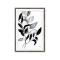 Picture of Black Botanical _GroupedProduct_Rectangle_Portrait_Framed_Matted_