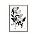 Picture of Black Botanical _GroupedProduct_Rectangle_Portrait_Framed_Matted_