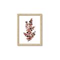 Picture of Rust Color Eucalyptus I  _GroupedProduct_Rectangle_Portrait_Framed_Matted_