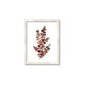 Picture of Rust Color Eucalyptus I  _GroupedProduct_Rectangle_Portrait_Framed_Matted_