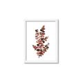 Picture of Rust Color Eucalyptus I  _GroupedProduct_Rectangle_Portrait_Framed_Matted_