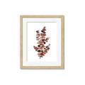 Picture of Rust Color Eucalyptus I  _GroupedProduct_Rectangle_Portrait_Framed_Matted_