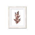 Picture of Rust Color Eucalyptus I  _GroupedProduct_Rectangle_Portrait_Framed_Matted_