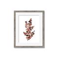 Picture of Rust Color Eucalyptus I  _GroupedProduct_Rectangle_Portrait_Framed_Matted_