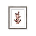 Picture of Rust Color Eucalyptus I  _GroupedProduct_Rectangle_Portrait_Framed_Matted_