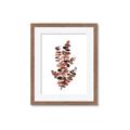 Picture of Rust Color Eucalyptus I  _GroupedProduct_Rectangle_Portrait_Framed_Matted_