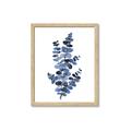 Picture of Blue Color Eucalyptus I  _GroupedProduct_Rectangle_Portrait_Framed_Matted_