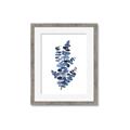 Picture of Blue Color Eucalyptus I  _GroupedProduct_Rectangle_Portrait_Framed_Matted_