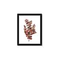 Picture of Rust Color Eucalyptus II  _GroupedProduct_Rectangle_Portrait_Framed_Matted_