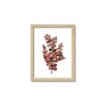 Picture of Rust Color Eucalyptus II  _GroupedProduct_Rectangle_Portrait_Framed_Matted_