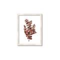 Picture of Rust Color Eucalyptus II  _GroupedProduct_Rectangle_Portrait_Framed_Matted_
