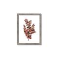 Picture of Rust Color Eucalyptus II  _GroupedProduct_Rectangle_Portrait_Framed_Matted_