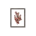 Picture of Rust Color Eucalyptus II  _GroupedProduct_Rectangle_Portrait_Framed_Matted_