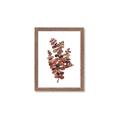 Picture of Rust Color Eucalyptus II  _GroupedProduct_Rectangle_Portrait_Framed_Matted_
