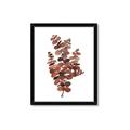 Picture of Rust Color Eucalyptus II  _GroupedProduct_Rectangle_Portrait_Framed_Matted_
