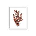 Picture of Rust Color Eucalyptus II  _GroupedProduct_Rectangle_Portrait_Framed_Matted_