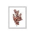 Picture of Rust Color Eucalyptus II  _GroupedProduct_Rectangle_Portrait_Framed_Matted_