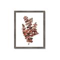 Picture of Rust Color Eucalyptus II  _GroupedProduct_Rectangle_Portrait_Framed_Matted_