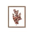 Picture of Rust Color Eucalyptus II  _GroupedProduct_Rectangle_Portrait_Framed_Matted_