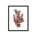 Picture of Rust Color Eucalyptus II  _GroupedProduct_Rectangle_Portrait_Framed_Matted_