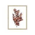Picture of Rust Color Eucalyptus II  _GroupedProduct_Rectangle_Portrait_Framed_Matted_