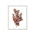 Picture of Rust Color Eucalyptus II  _GroupedProduct_Rectangle_Portrait_Framed_Matted_