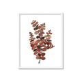 Picture of Rust Color Eucalyptus II  _GroupedProduct_Rectangle_Portrait_Framed_Matted_