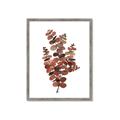 Picture of Rust Color Eucalyptus II  _GroupedProduct_Rectangle_Portrait_Framed_Matted_