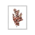 Picture of Rust Color Eucalyptus II  _GroupedProduct_Rectangle_Portrait_Framed_Matted_