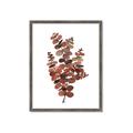 Picture of Rust Color Eucalyptus II  _GroupedProduct_Rectangle_Portrait_Framed_Matted_