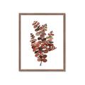Picture of Rust Color Eucalyptus II  _GroupedProduct_Rectangle_Portrait_Framed_Matted_