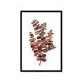 Picture of Rust Color Eucalyptus II  _GroupedProduct_Rectangle_Portrait_Framed_Matted_