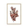 Picture of Rust Color Eucalyptus II  _GroupedProduct_Rectangle_Portrait_Framed_Matted_