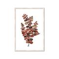 Picture of Rust Color Eucalyptus II  _GroupedProduct_Rectangle_Portrait_Framed_Matted_