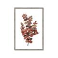 Picture of Rust Color Eucalyptus II  _GroupedProduct_Rectangle_Portrait_Framed_Matted_