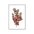 Picture of Rust Color Eucalyptus II  _GroupedProduct_Rectangle_Portrait_Framed_Matted_