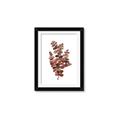 Picture of Rust Color Eucalyptus II  _GroupedProduct_Rectangle_Portrait_Framed_Matted_