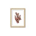 Picture of Rust Color Eucalyptus II  _GroupedProduct_Rectangle_Portrait_Framed_Matted_
