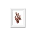 Picture of Rust Color Eucalyptus II  _GroupedProduct_Rectangle_Portrait_Framed_Matted_